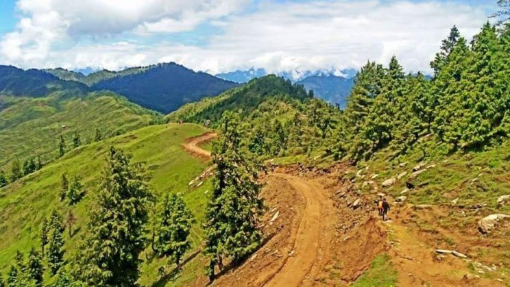 saponi dhar sarachi