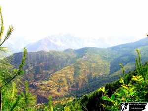 thachi valley         