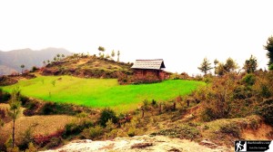 thachi valley      